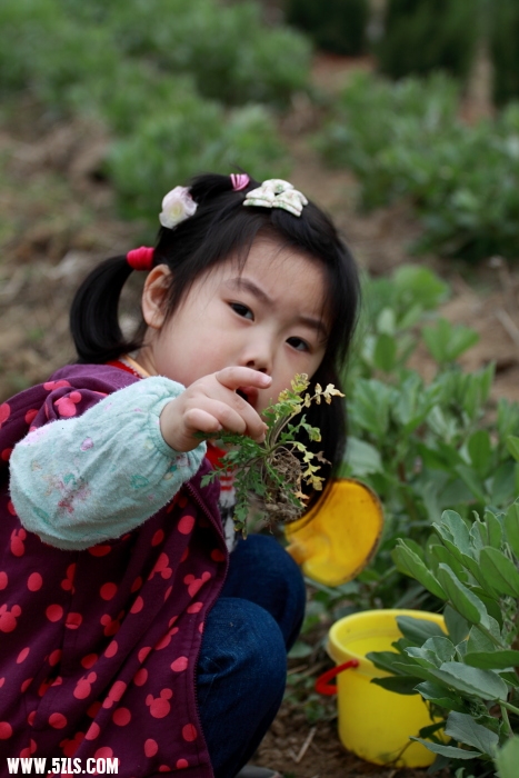2011ֲ025.JPG