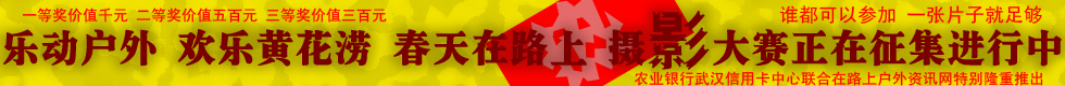 2011ƻӰ.jpg