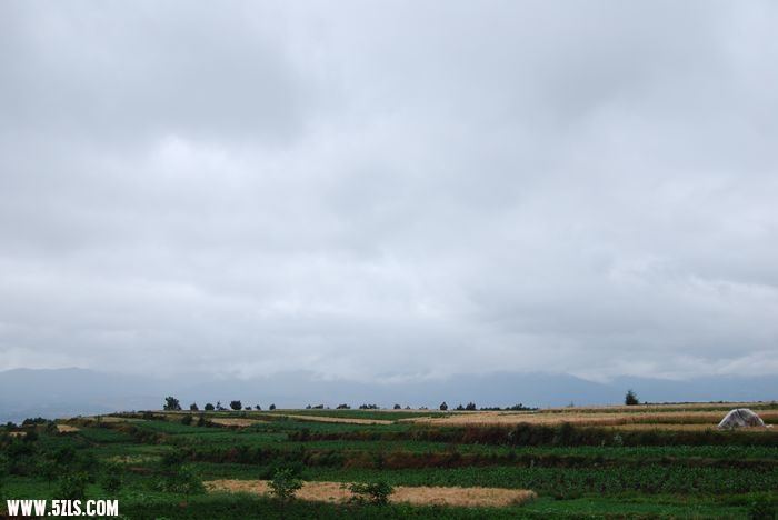DSC_0051.jpg