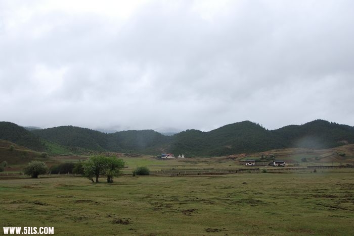 DSC_0159.jpg