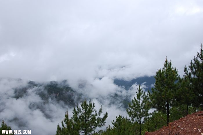 DSC_0268.jpg