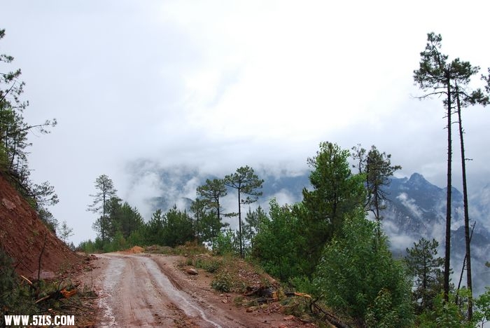 DSC_0306.jpg