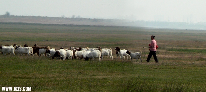 P1050627.jpg