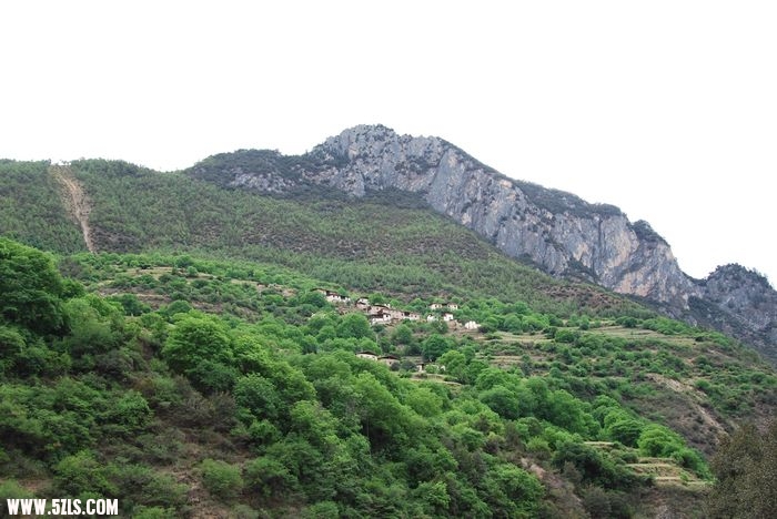DSC_0711.jpg