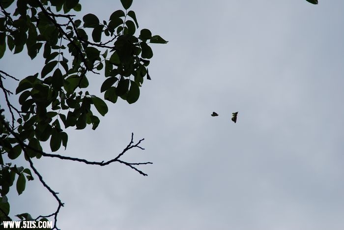 DSC_1029.jpg
