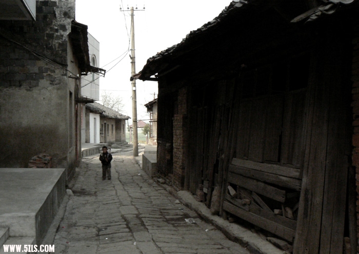 P1050738.jpg