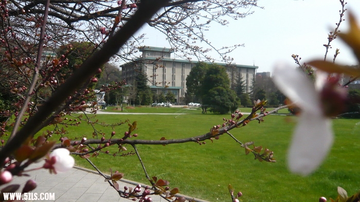 P1100415.jpg