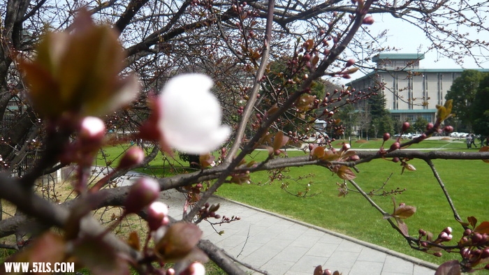 P1100413.jpg