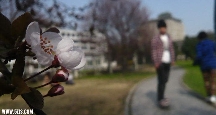 P1100495.jpg