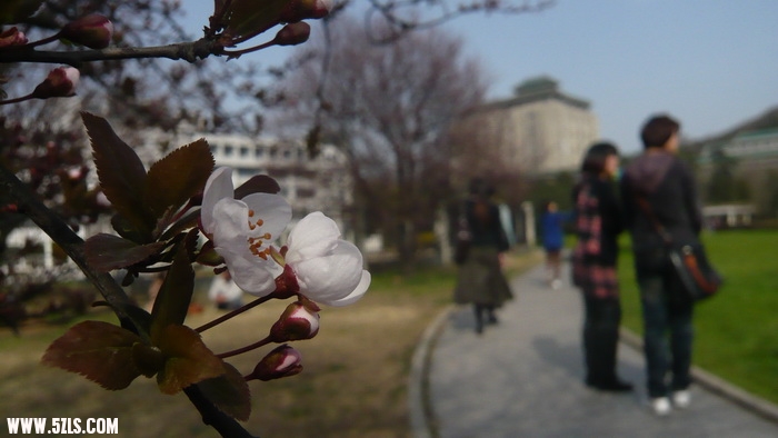 P1100496.jpg