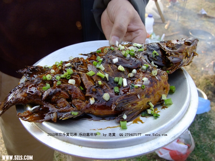 DSCF8683.JPG