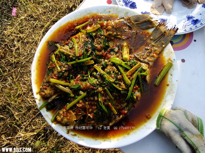 DSCF8700.JPG