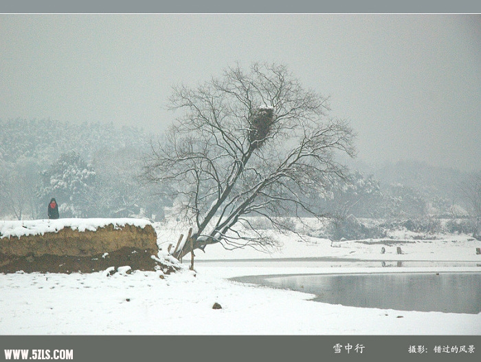 DSC_0420a.jpg