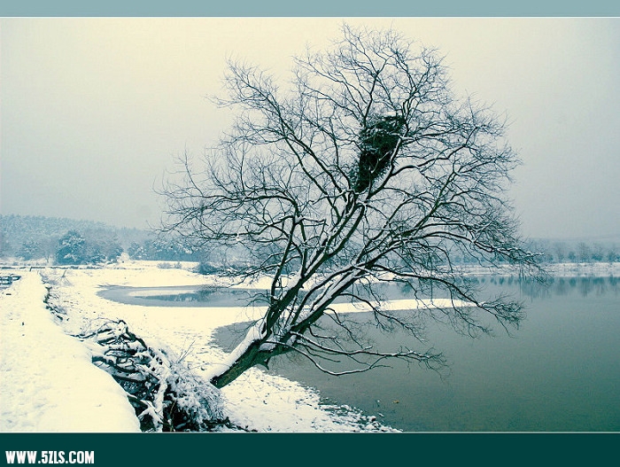 DSC_0380a.jpg