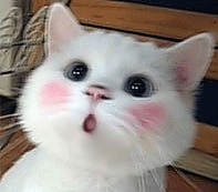 SB4BRW(%%W9CK5UPP6ME%CN.gif