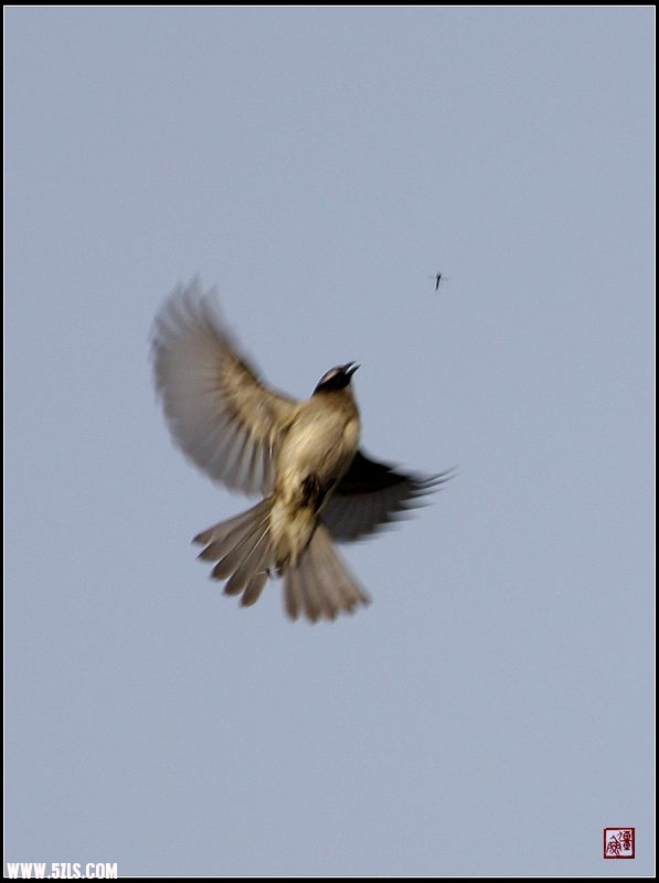 IMG_7688.jpg