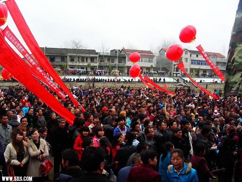 DSCN9538.jpg