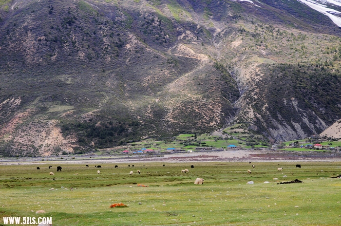Ƭ 022.jpg