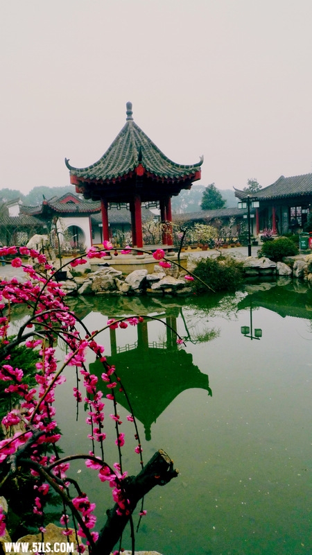 P1090748.jpg