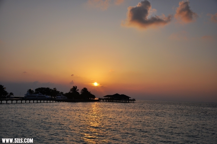 DSC_0532-1.jpg