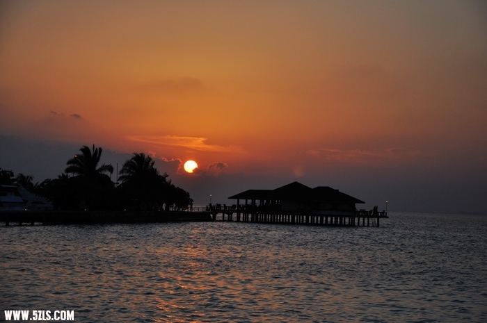 DSC_0546-1.jpg