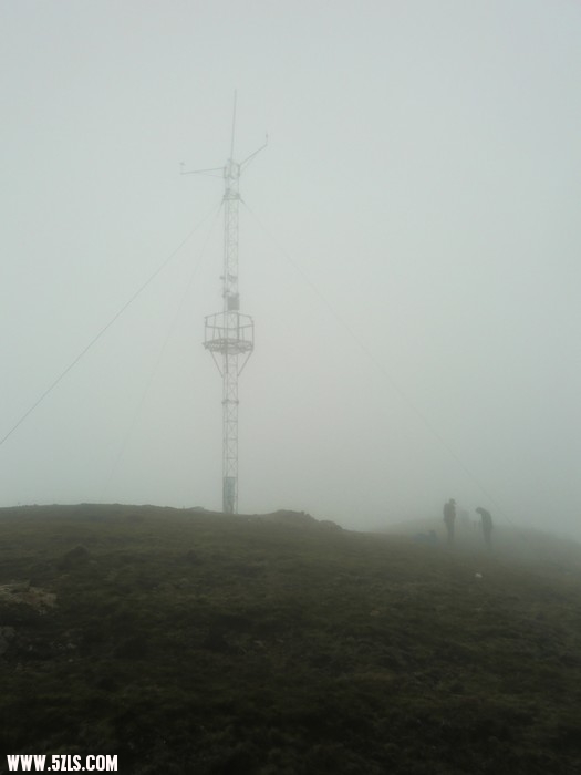 CIMG5484.jpg