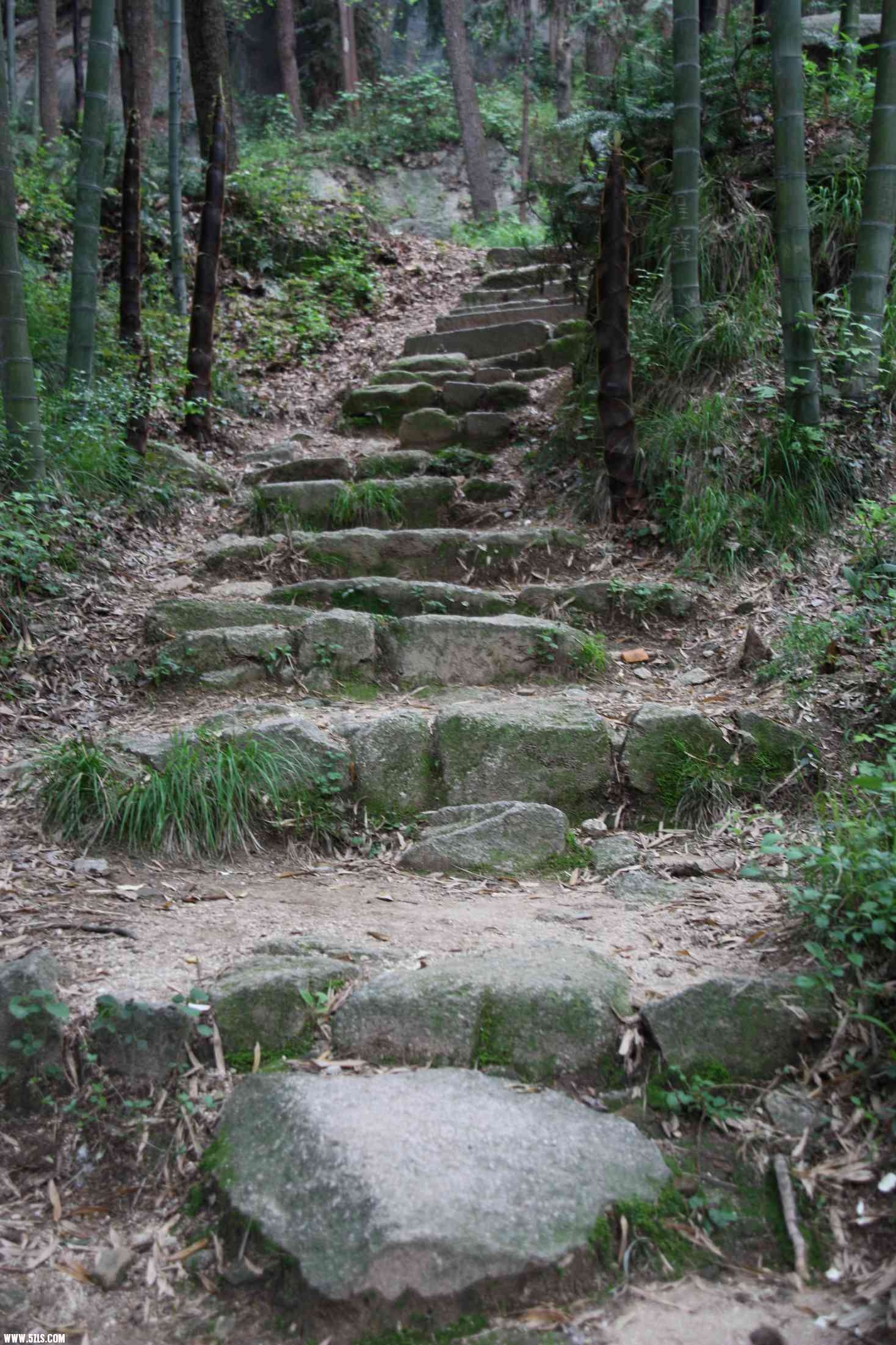 鱼木寨后