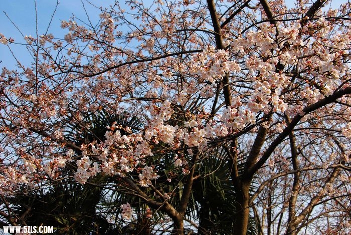 nEO_IMG_DSC_1303.jpg