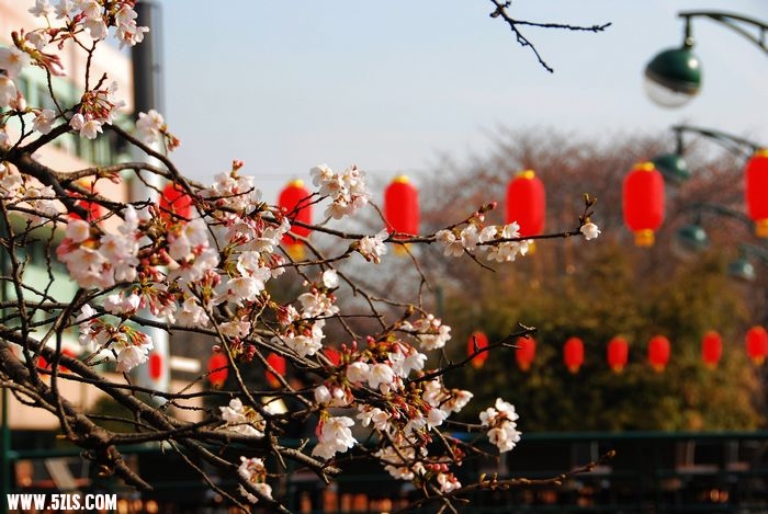 nEO_IMG_DSC_1329.jpg