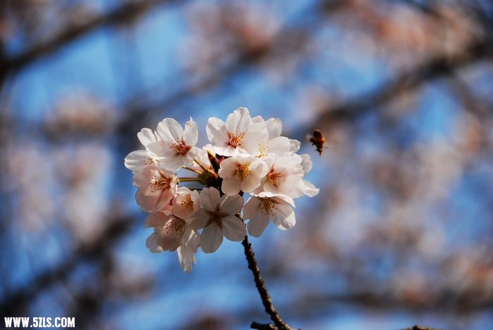 nEO_IMG_DSC_1363.jpg