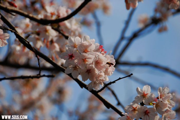 nEO_IMG_DSC_1365.jpg