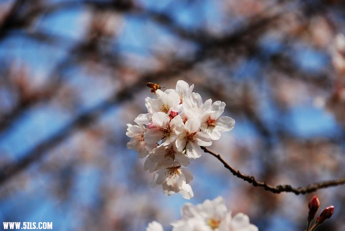 nEO_IMG_DSC_1369.jpg