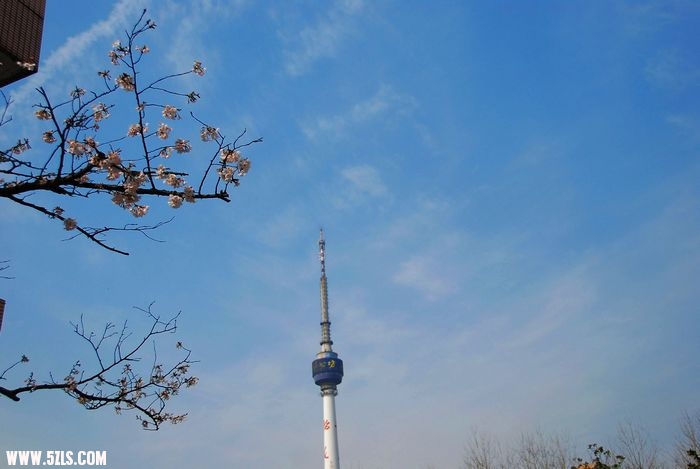 nEO_IMG_DSC_1412.jpg