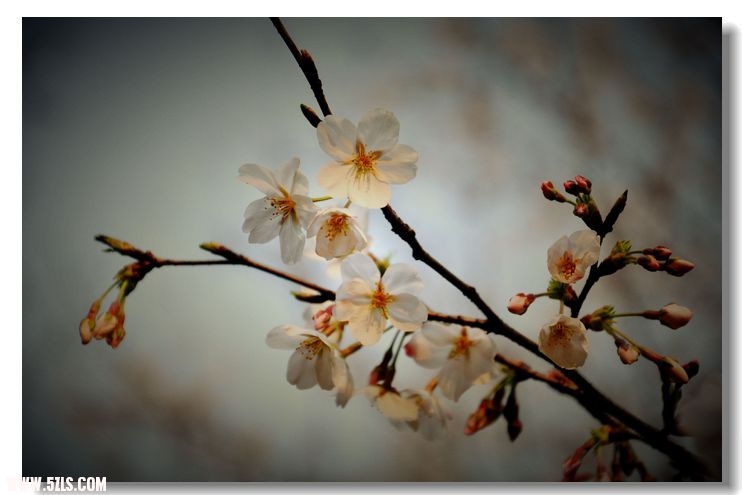 Ƭ 058.jpg