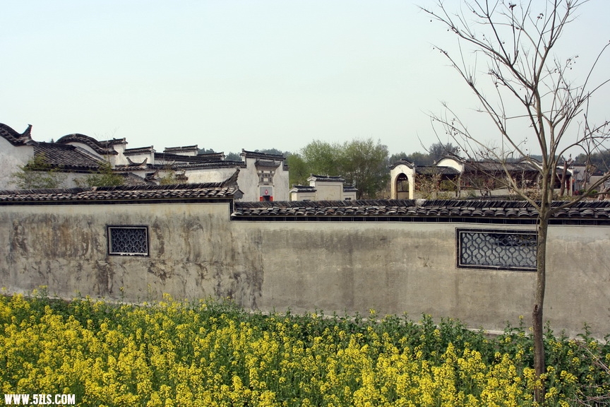 墙外