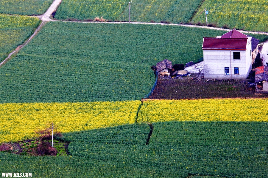 DPP_21237.jpg