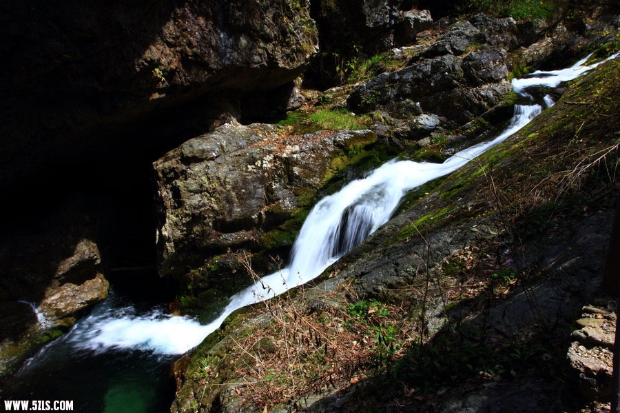 DPP_21273.jpg