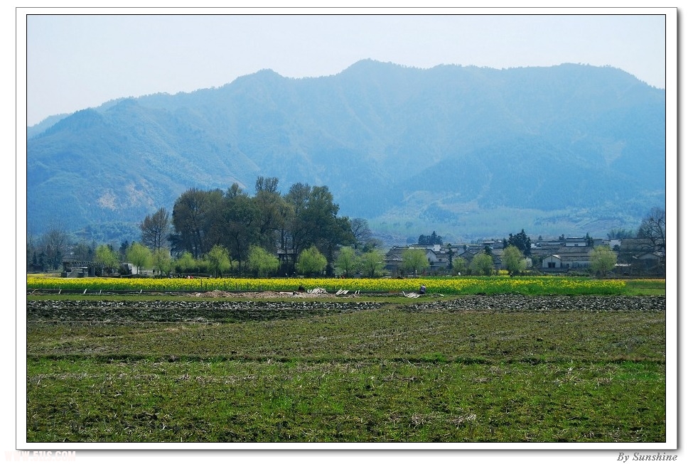 DSC_2874.jpg