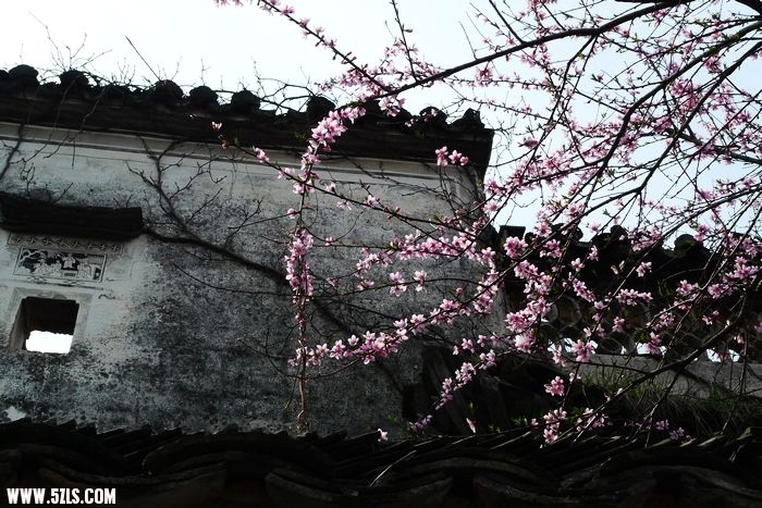 Ƭ 045.jpg