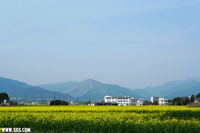Ƭ 060.jpg