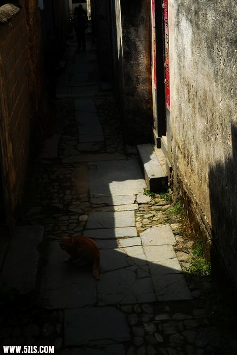 Ƭ 081.jpg