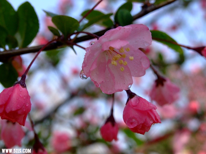 DSCF1782.jpg