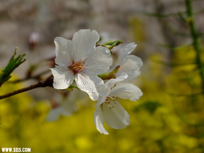 DSCF1680.jpg