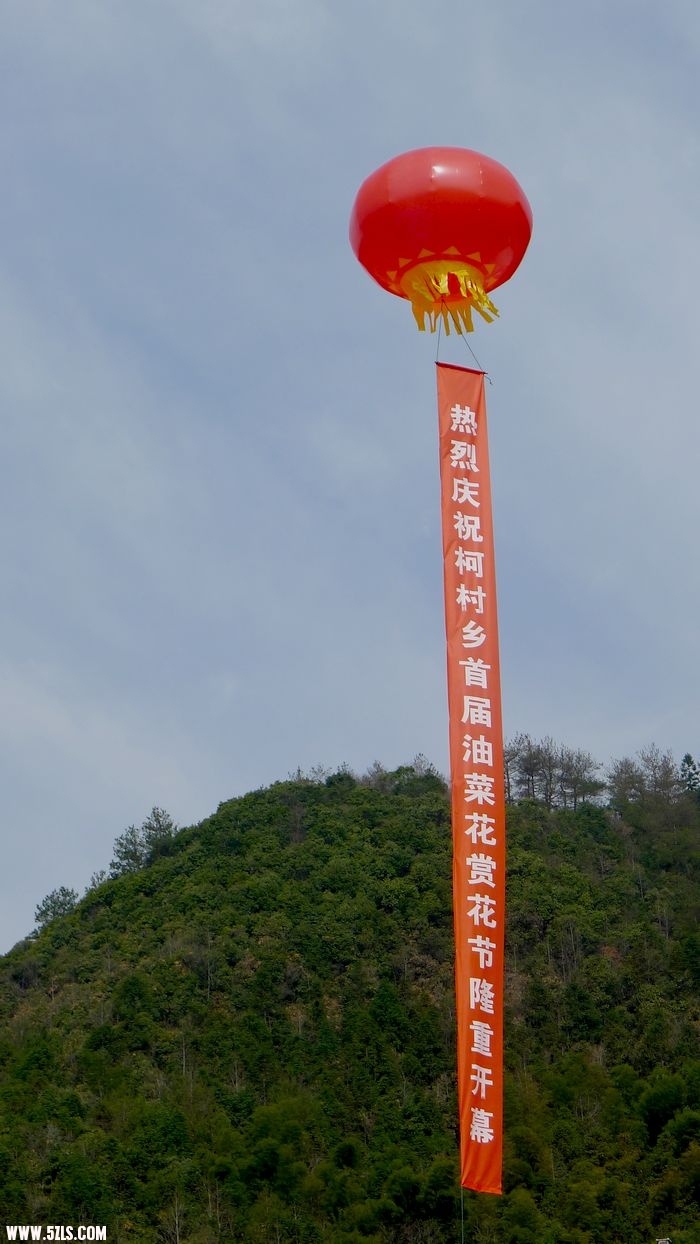 P1000271.jpg