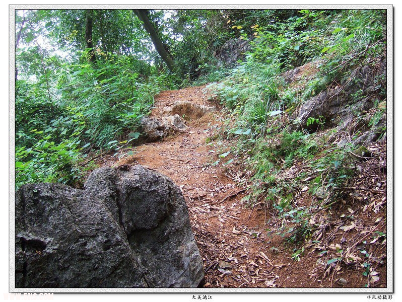 DSCF0890.JPG