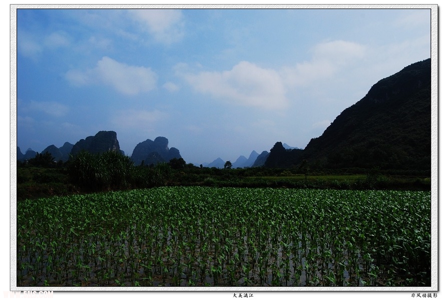 DSC_1735.jpg