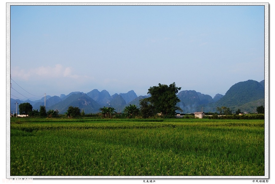 DSC_1782.jpg