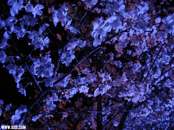p_large_3NaQ_0c790000c1725c40.jpg