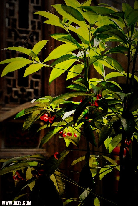 nEO_IMG__DSC9059.jpg