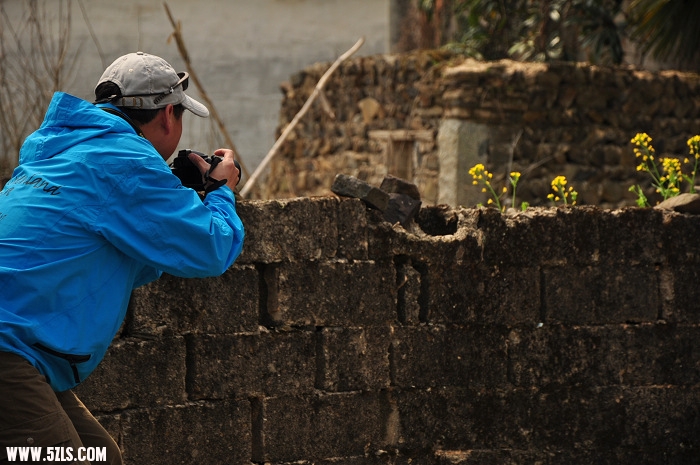DSC_0241.jpg